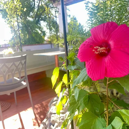 Frühstückspension Ozium