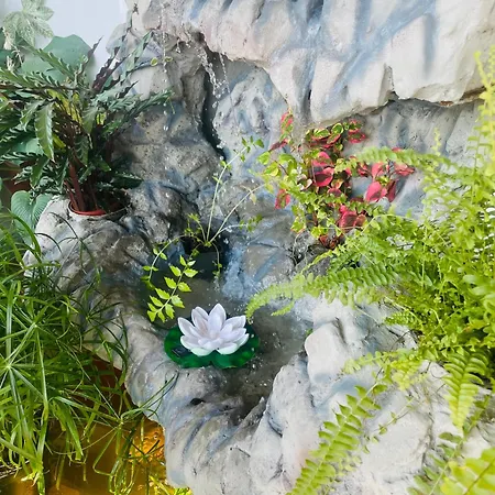 Frühstückspension Ozium