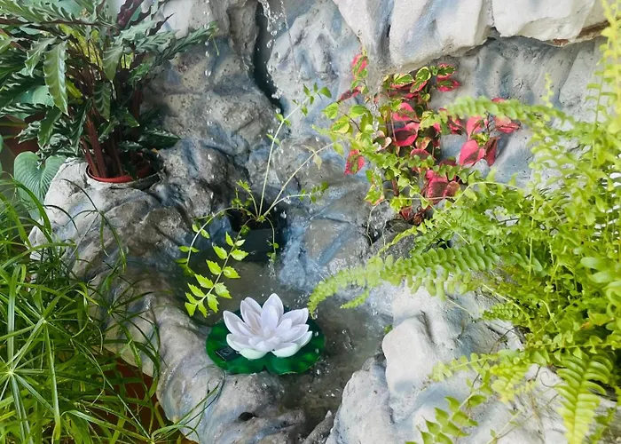 Frühstückspension Ozium